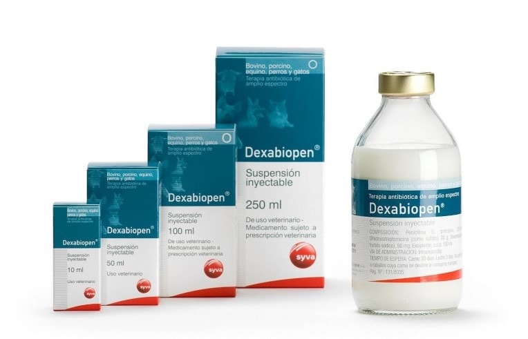 DEXABIOPEN Antibacteriano y antiinflamatorio esteroideo en suspensión inyectable