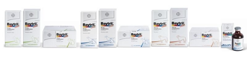 BAYTRIL SABOR