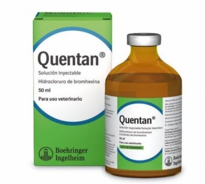 QUENTAN Cerdos y Bovino