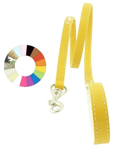 Correa Ramal Fantástica Verde L1100 A10: Resistente y Elegante para Mascotas