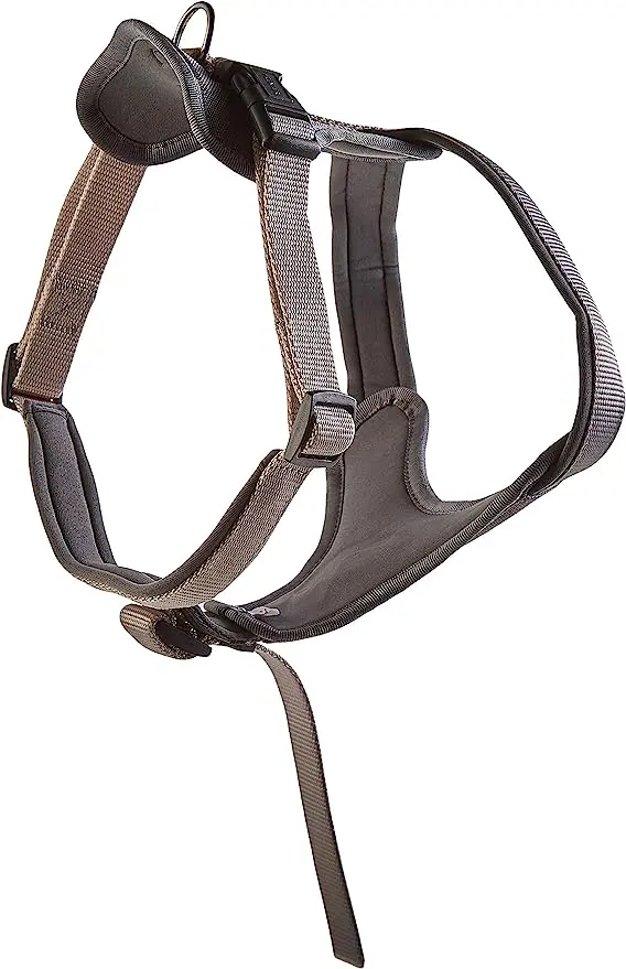 Arnés de Nylon y Neopreno XS para Mascotas: Comodidad y Seguridad