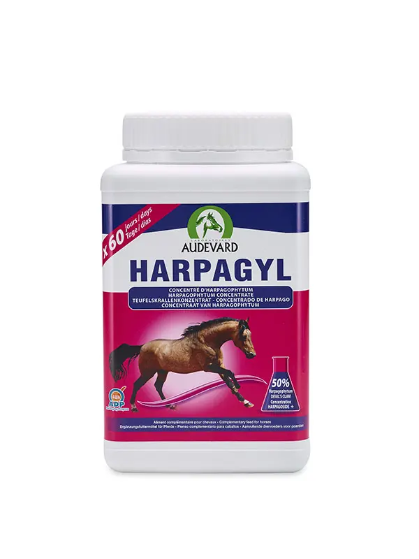 AUDEVARD HARPAGYL 900GR (NDR)